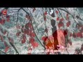 雪の華に関するクイズ