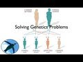 Genetics and Probability Concepts