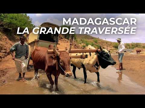 Madagascar, un périple de 5000 km en Charrette