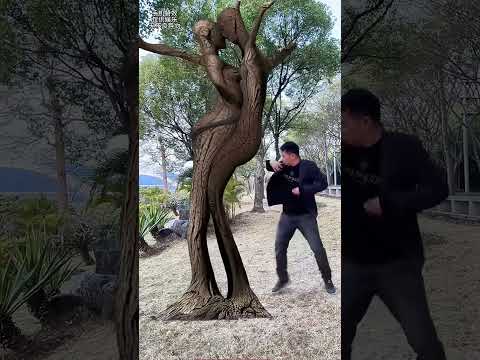 Can't I recognize you if I turn into a tree  Magical tree mobile phone special effects