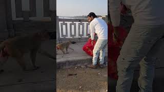 seva karte rho dosto #followme #shortvideo #pleasesubscribe