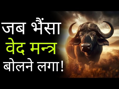 विचित्र कथा - जब भैसा वेदो के मन्त्र बोलने लगा - श्री राजेंद्रदास जी महाराज कथा - राम कथा