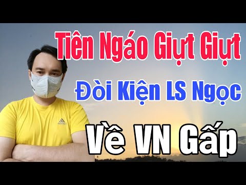 🟢 Tiên Ngáo giựt giựt đòi kiện LS Ngọc, Mày về VN gấp