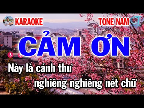 Cảm Ơn Karaoke Tone Nam Nhạc Xuân 2025