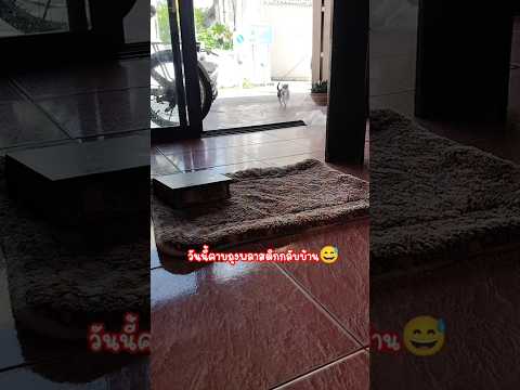มีใครเดาออกมั่งว่านางเก็บถุงมาทำอะไร?