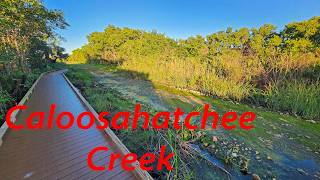 Caloosahatchee Creeks East Preserve. North Fort Myers Florida