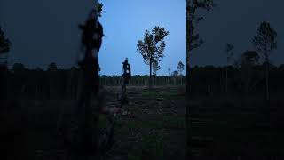 Dressed to Hunt! #elitearchery l #bowhunting