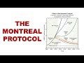 Ozone Layer Protection and Policies