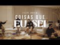 Coisas Que Eu Sei - Felipe Amorim - Como tocar no violão - cover/cifra  simplificada 