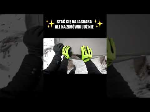 A TY CO BYŚ ZROBIŁ XD? #shorts