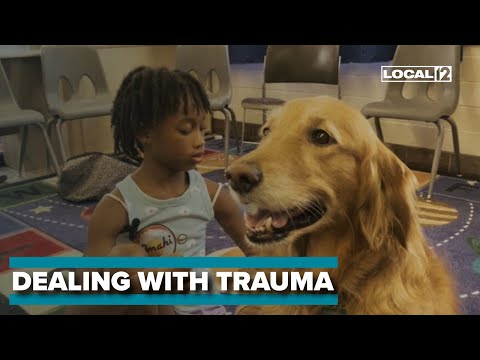 New program in Cincinnati uses therapy dogs to help children cope with trauma