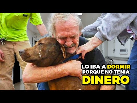 Veterinaria conmueve al mundo al ayudar a un abuelo desesperado y su querido perro 🐾❤️