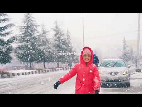 A winter wonderland | Kashmir