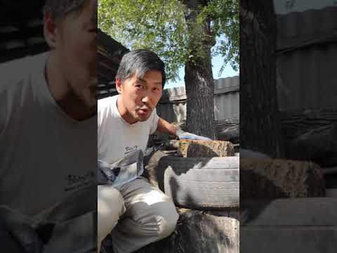 Расколоть крученую чурку с сучком