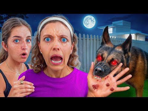 Rescue DOG ATTACKED ME! Do We Send Him Away?