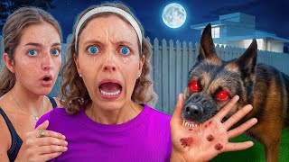 Rescue DOG ATTACKED ME! Do We Send Him Away?