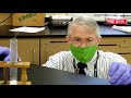 Exploring Physical and Chemical Changes in the Lab