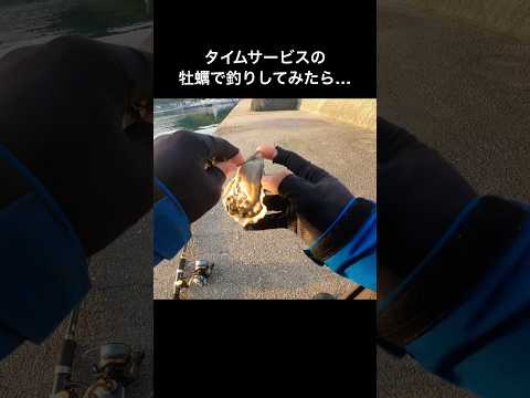 堤防釣り最強のエサを使った結果…!