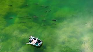 Un-fished for 30 Years...