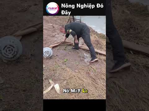 Máy kéo + đầu bơm Trung Quốc = Giải pháp siêu tiện cho nhà nông #nongdan #shortvideo #nongnghiep