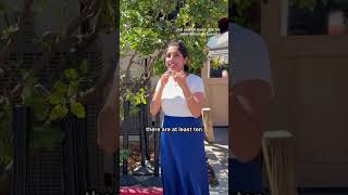 Top 3 Things I would do to get a job in 🇺🇸