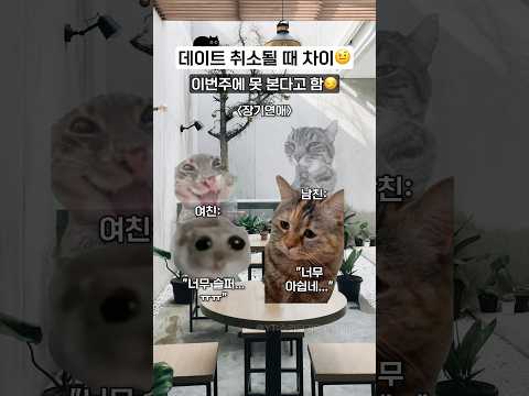 데이트 취소될 때 연애 차이ㅋㅋ