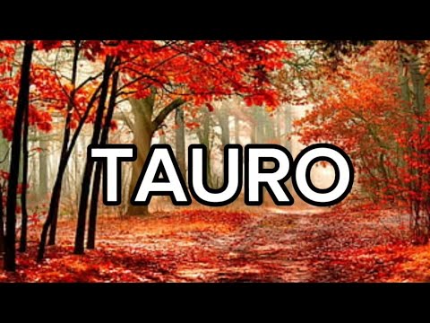 TAURO ♉UN AMOR DEL PASADO TE VUELVE A BUSCAR, EL AMOR SIGUE VIVO, SERÁ ALGO MÁGICO❤