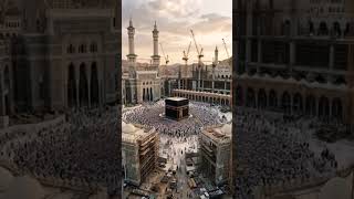 New Cool Tool! 🫶🕋🤲 New Viral Gadgets,SmartKitchen Appliances, Tools, Utensils, Home Cleaning #shorts