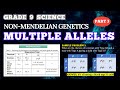 Blood Type Genetics and Inheritance Patterns