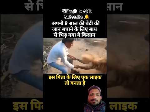 "बेटी की जान बचाने के लिए बाघ से भिड़ा बहादुर पिता | दिल दहला देने वाली कहानी!"#automobile #military