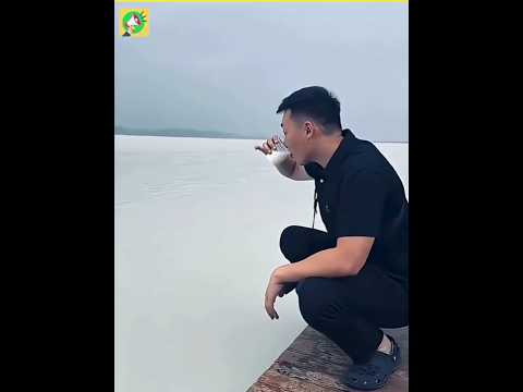 Milk river in china explained