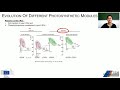Photosynthesis Mechanisms and Processes