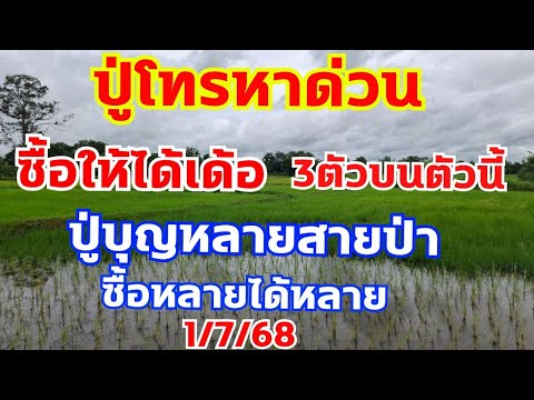 ปู่บุญหลายสายป่าโทรบอกสามตัวบนสองตัวล่าง คู่นี้ซื้อเอาเด้อ 1/7/68