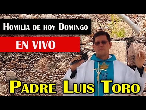 Homilía de hoy DOMINGO EN VIVO CON EL PADRE LUIS TORO desde MEXICO