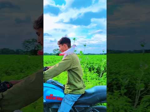 বন্ধুত্ব কাটুস🕊️❤️#animals#love#নাসিমভাই #কবুতর #pigeons#kabutar #SORT#short#পাইরা#history#কাটুস#