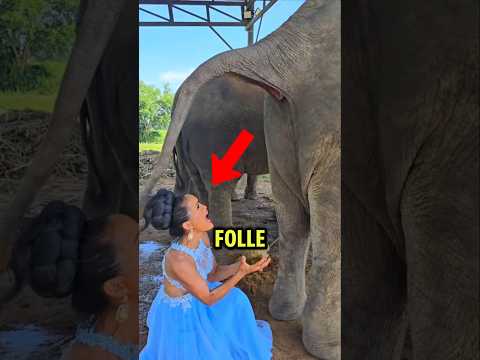 la raison est surprenante !😱