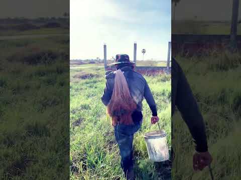 #imaginedragons #music #coldplay #duet #concert #live #mobilelegends #funny #nature