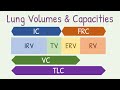 Understanding Lung Volumes and Capacities
