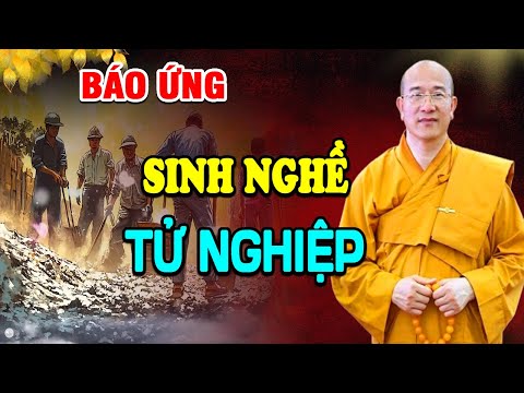 Chuyện Phật Giáo Nhân Quả, SINH NGHỀ TỬ NGHIỆP Có Thật Ở Việt Nam Nghe Xót Thương Người Ở Lại...