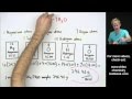 Calculating Molar Mass: Practice Problems and Techniques