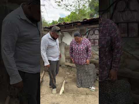 #video #viralvideo #parati