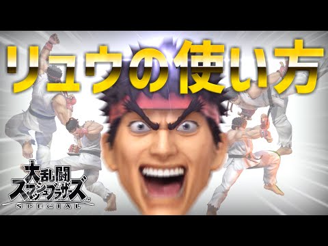 【スマブラSP】入れ込む！リュウの使い方