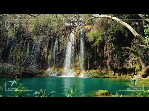 Euphoricast - #95 (June 2025) [HQ Mix]