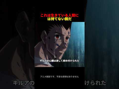 これは生きている人間には持てない腕だ。 #hunterxhunter #anime #アニメ