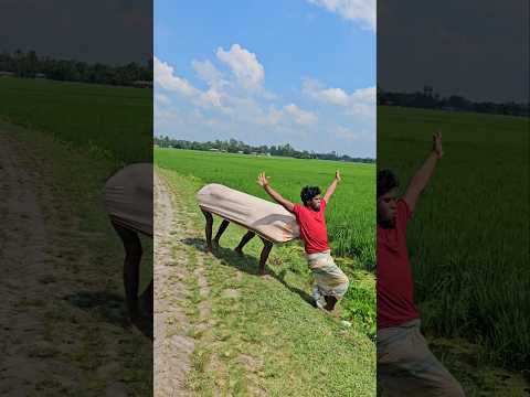 A naughty cow came and pushed.