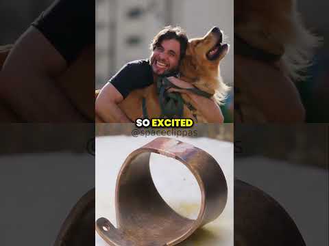 Why Dogs are so Happy🤯 w/ Neil deGrasse Tyson