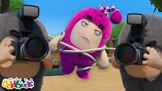 Picture Perfect Rescue? 📸 #oddbods