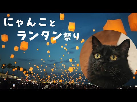 にゃんことランタン祭り。幻想的な夜