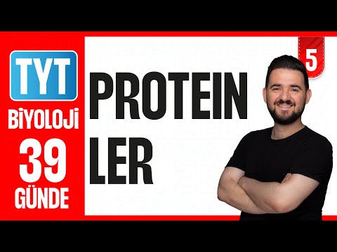 Proteinler - Soru Çözümü | 39 GÜNDE AYRINTILI TYT BİYOLOJİ KAMPI 2026-27 | 5
