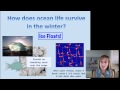 Properties and Functions of Water